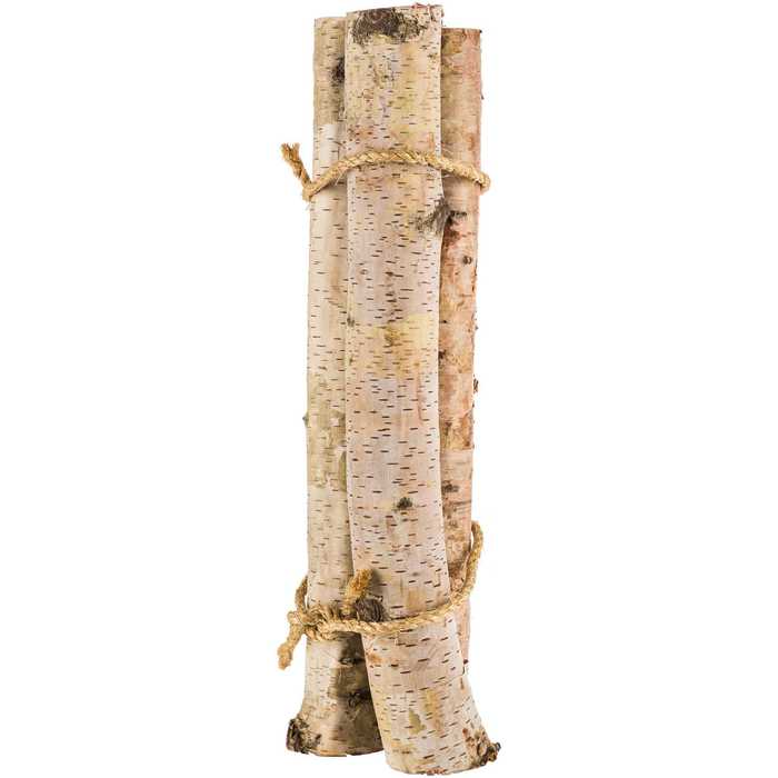 Natural Birch Bundle Hobby Lobby 1159961